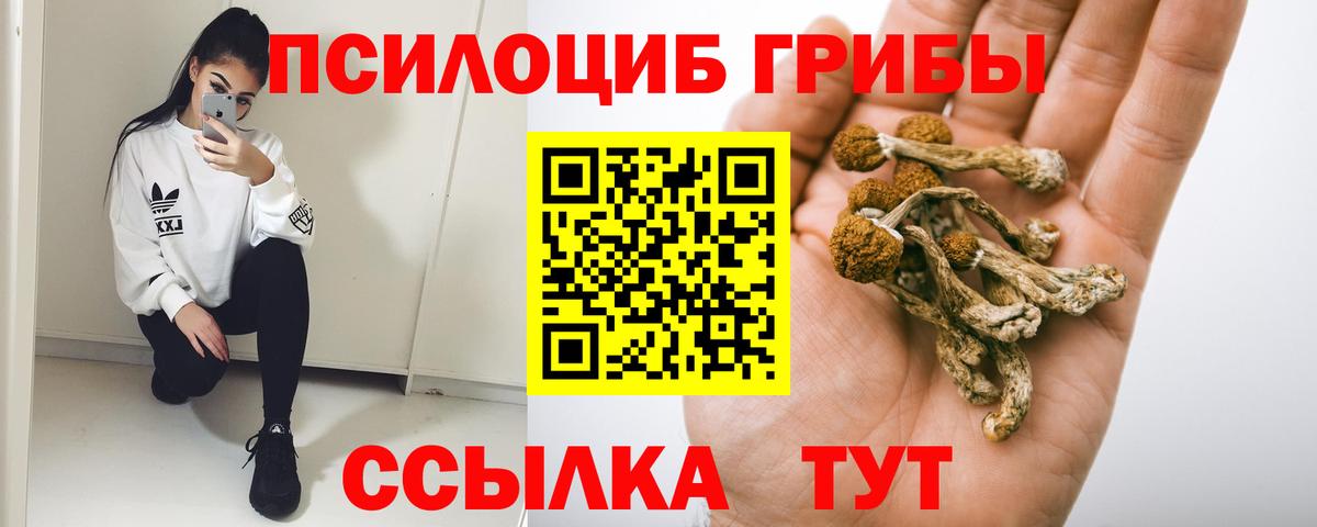 Псилоцибиновые грибы Psilocybine cubensis Майкоп
