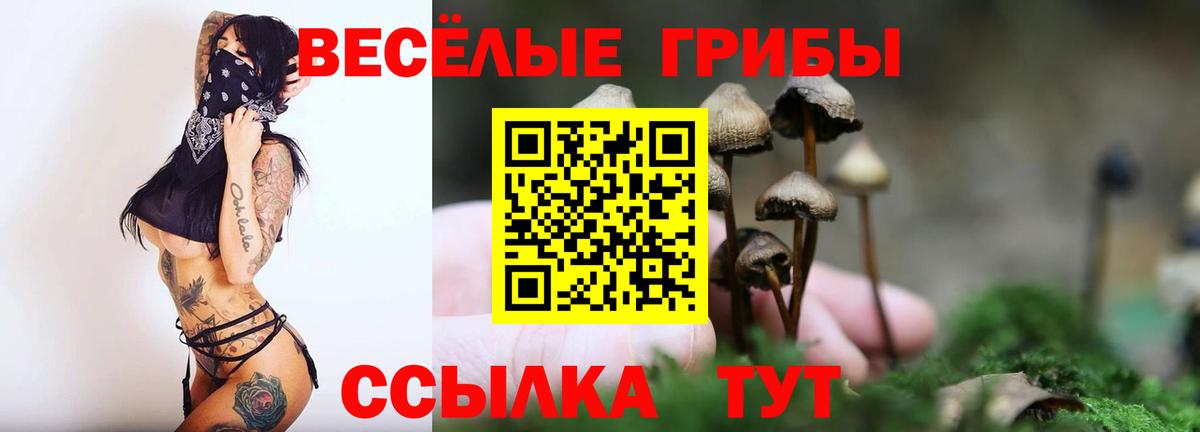 купить наркотик  Галлюциногенные грибы мицелий  Вход с VPN  Майкоп 