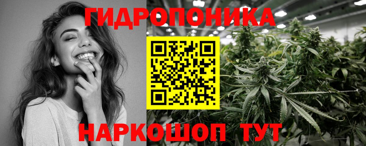 Бошки марихуана индика Майкоп